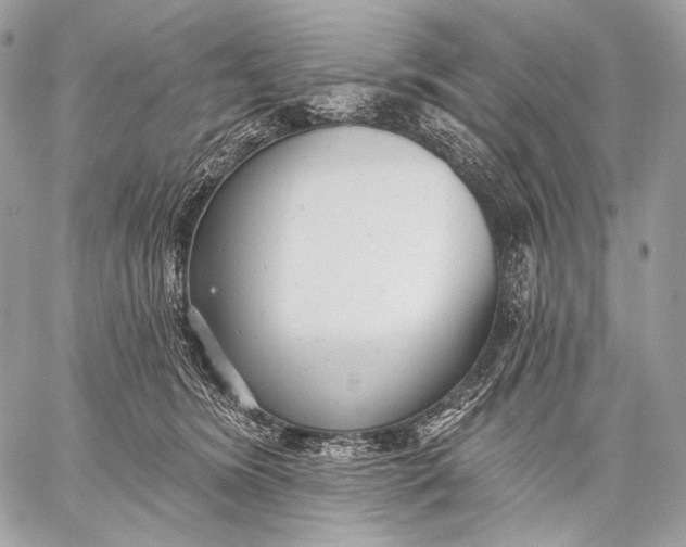 X0000059040420200510281547