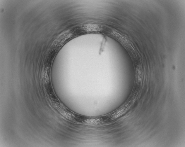 X0000059040422200510281547