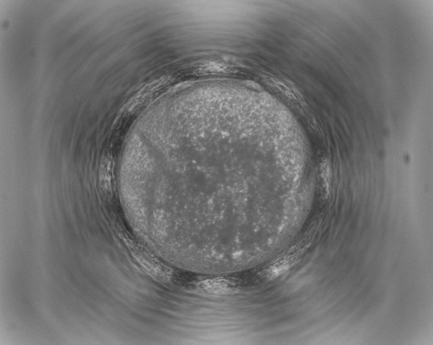 X0000059040423200510281547