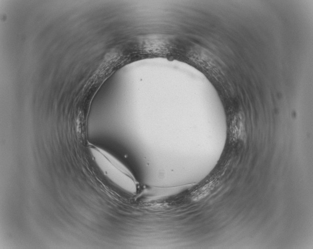 X0000059040424200510281547