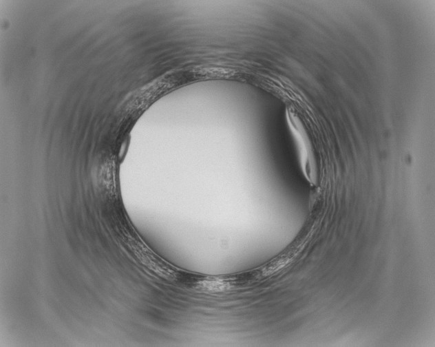 X0000059040425200510281547