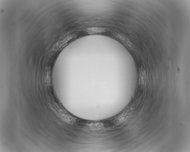 X0000059040426200510281547