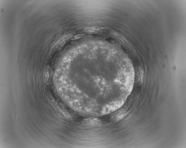 X0000059040427200510281547