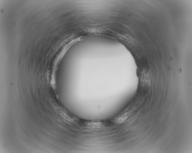 X0000059040428200510281547