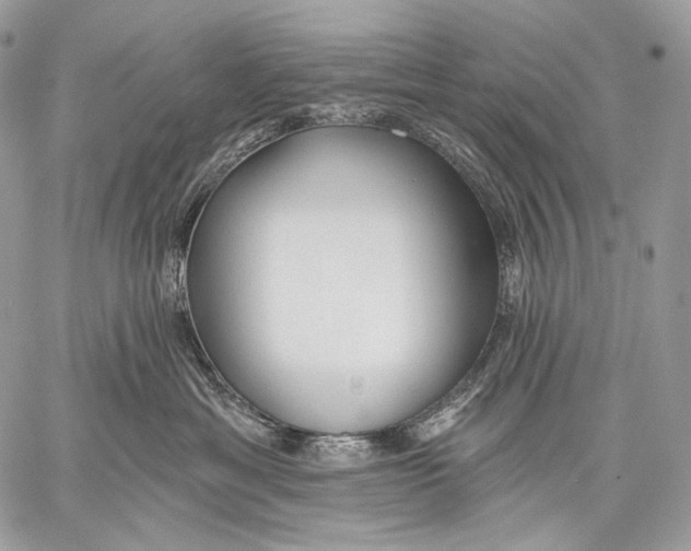 X0000059040429200510281547