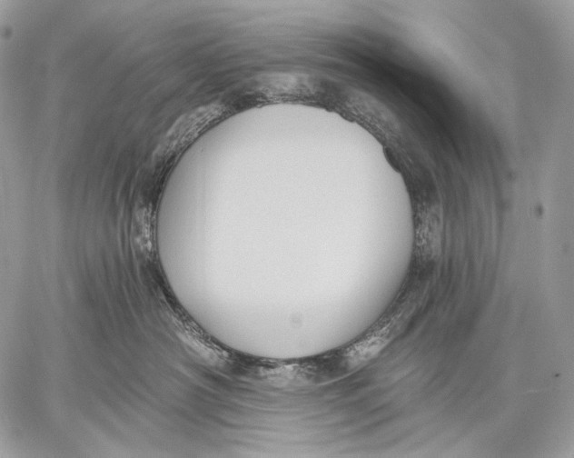 X0000059040430200510281547