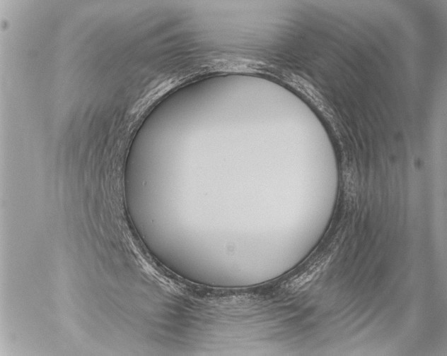 X0000059040433200510281546