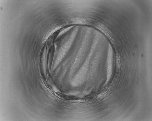 X0000059040434200510281546