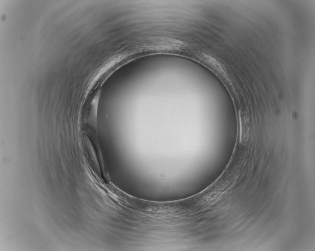 X0000059040435200510281546