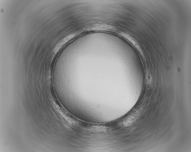 X0000059040437200510281546