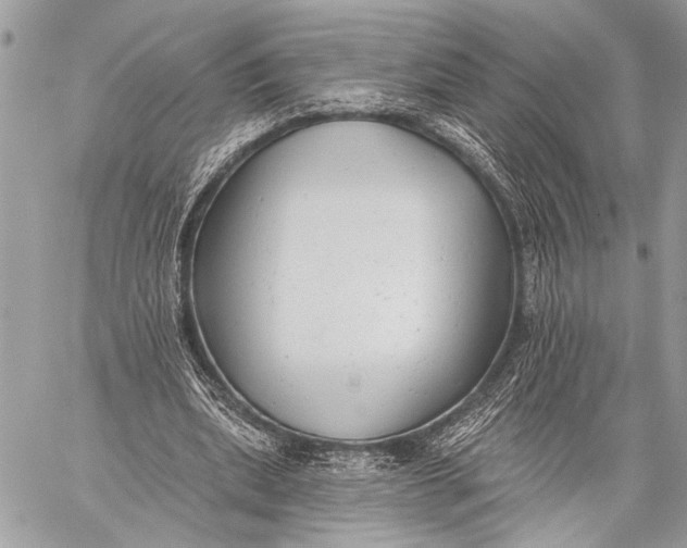 X0000059040439200510281546