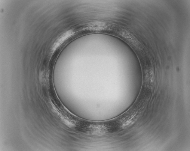 X0000059040440200510281546