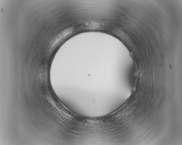 X0000059040442200510281546