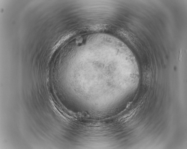 X0000059040443200510281546