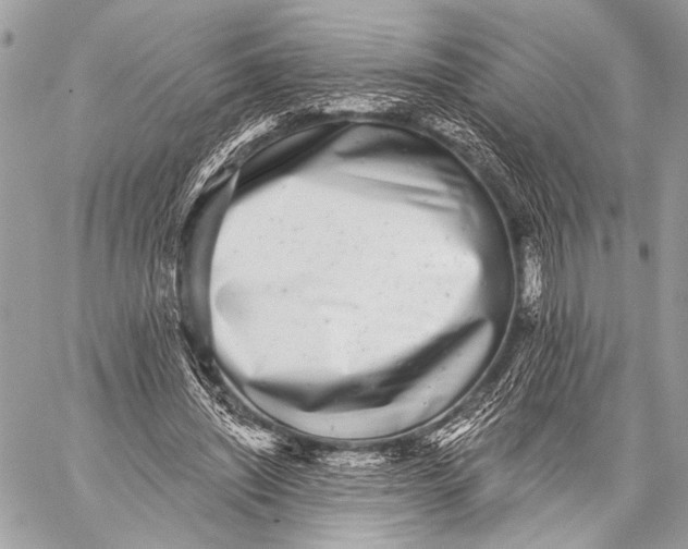 X0000059040444200510281546