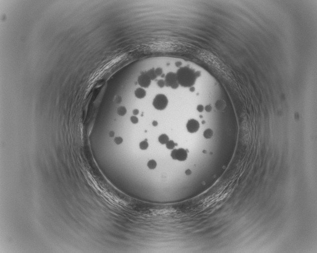 X0000059040446200510281546