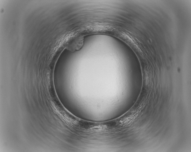 X0000059040447200510281546