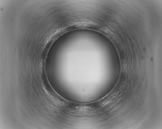 X0000059040448200510281546