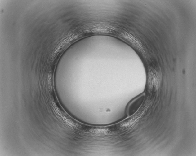 X0000059040449200510281546