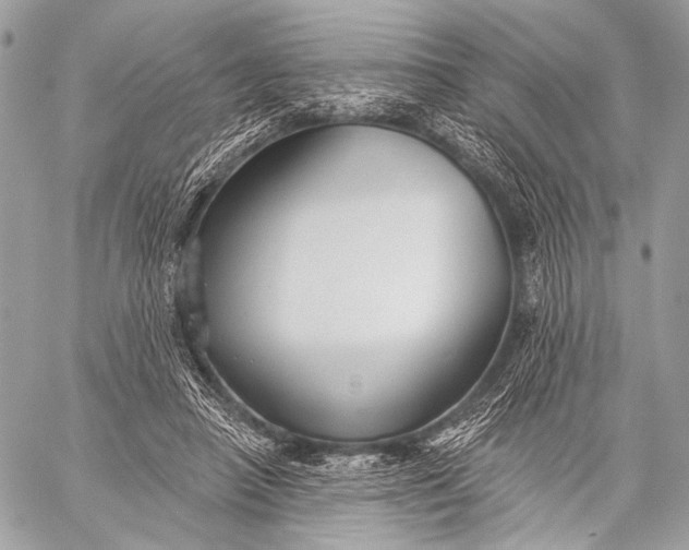 X0000059040450200510281546