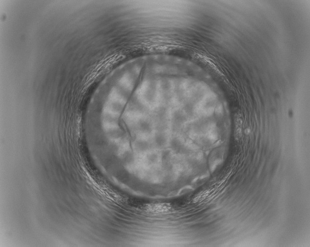 X0000059040451200510281546