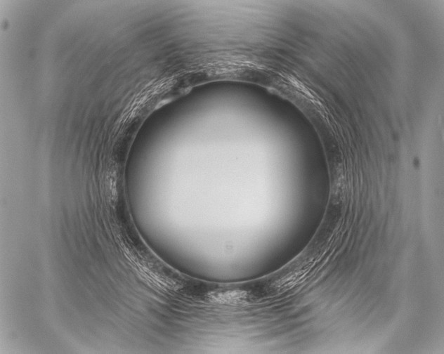 X0000059040452200510281546