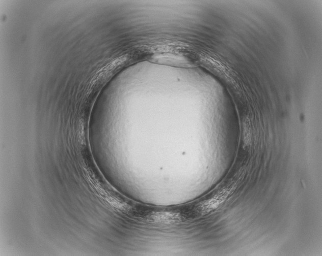 X0000059040453200510281546