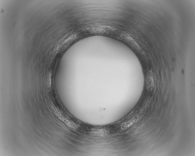 X0000059040454200510281546