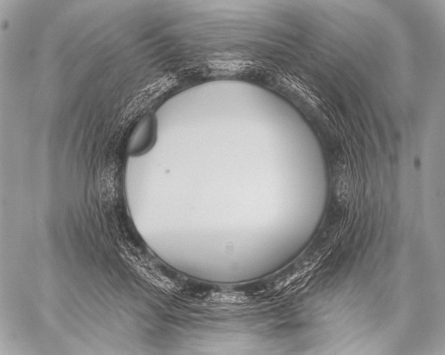 X0000059040455200510281546