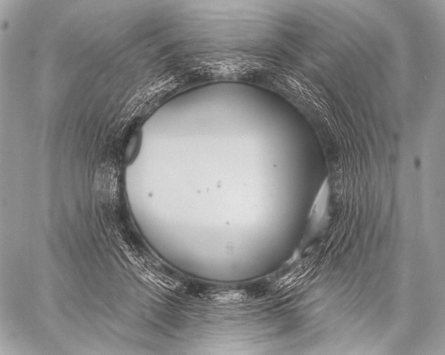 X0000059040456200510281546