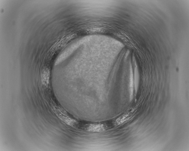 X0000059040458200510281546