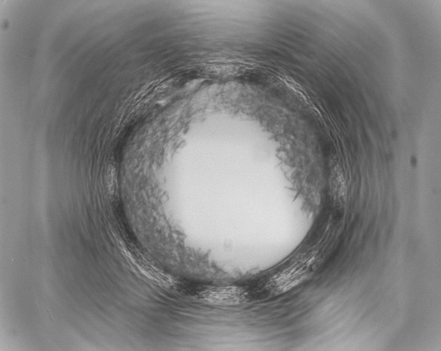 X0000059040459200510281546