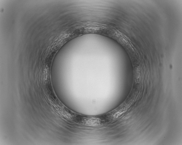 X0000059040463200510281546