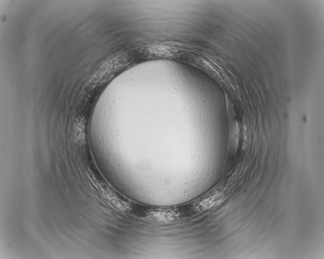 X0000059040466200510281546