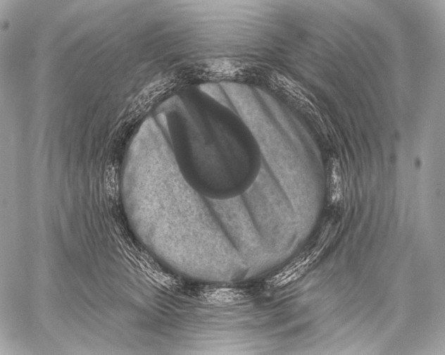 X0000059040467200510281546