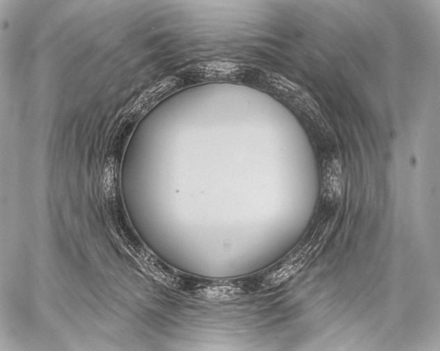 X0000059040468200510281546