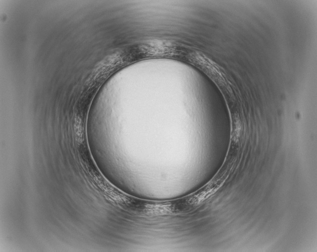 X0000059040469200510281546