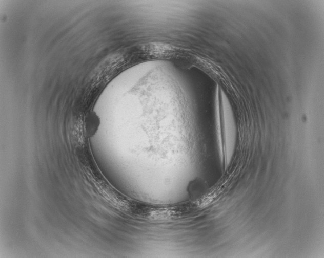 X0000059040470200510281546