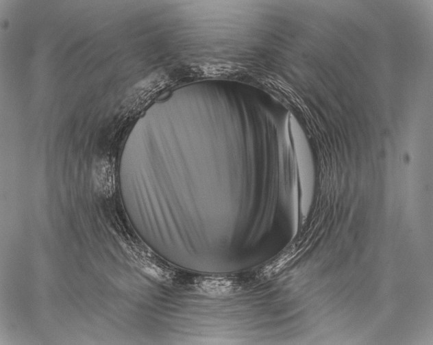 X0000059040471200510281546