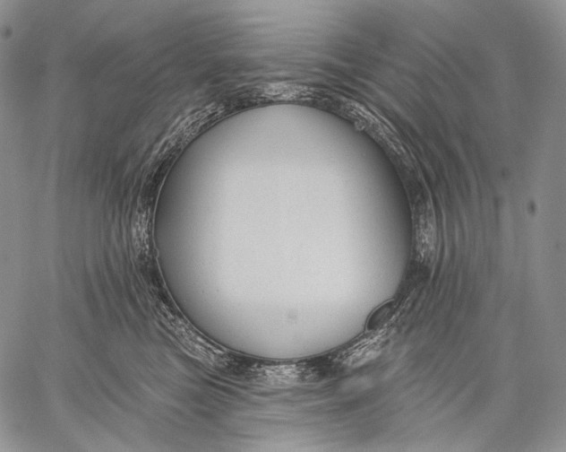 X0000059040473200510281547