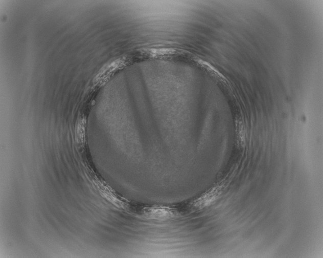 X0000059040475200510281547