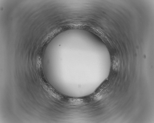 X0000059040476200510281547