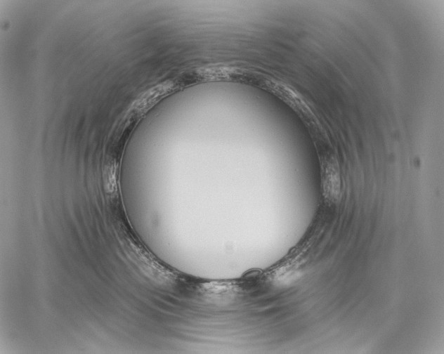 X0000059040477200510281547