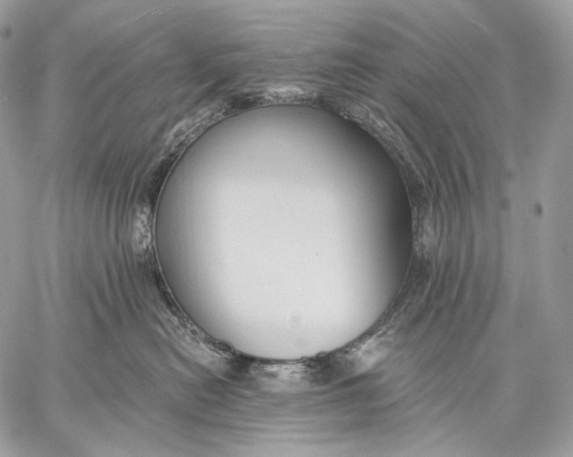 X0000059040478200510281547