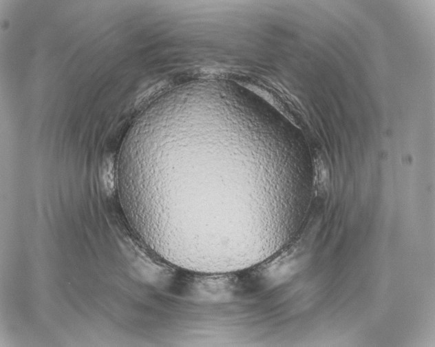 X0000059040479200510281547