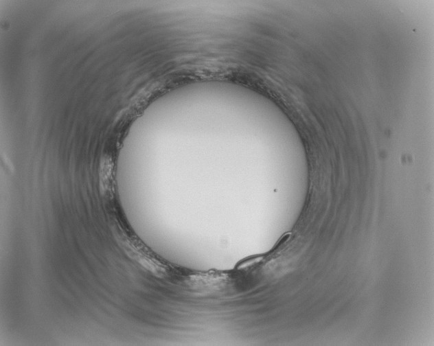 X0000059040480200510281547