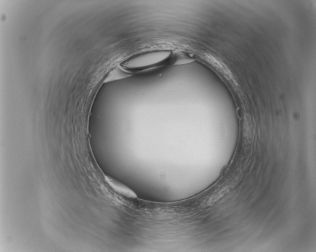 X0000059040481200510281546