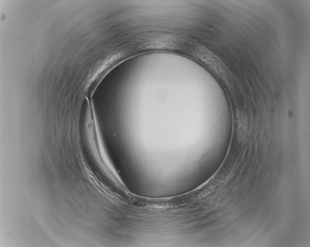 X0000059040482200510281546