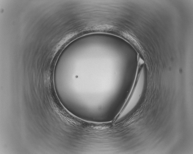 X0000059040483200510281546