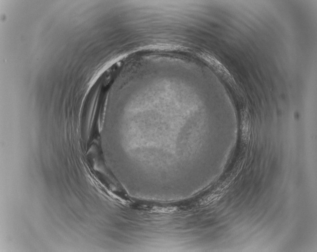 X0000059040484200510281546